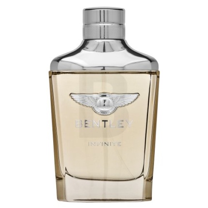 Bentley Infinite Eau de Toilette for men 100 ml